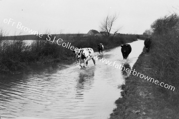 CLARA ROAD EQUINOCTIAL FLOOD